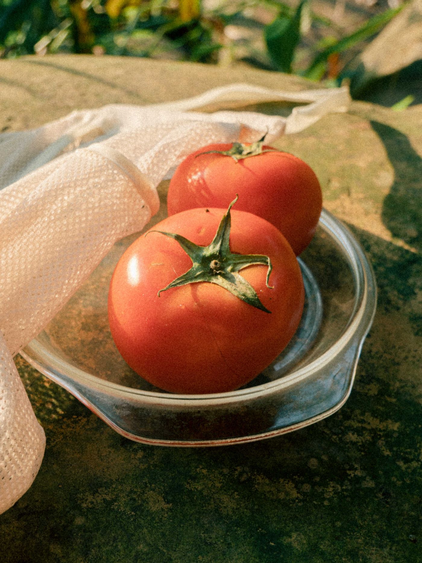 Ensalada de tomate con burrata